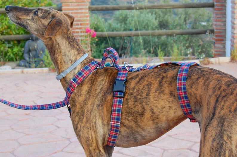 Greyhound harness dog harness galgos harnesses safety harness anti