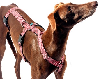 Dog harness Vichy for Greyhound, Whippet, Piccolo, hound, all breeds! Antiescape system. This product is Tailormade especially for you.