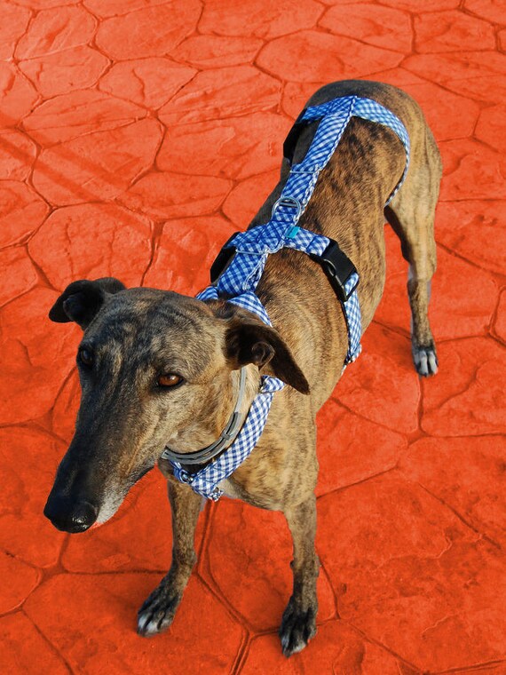 Greyhound harness/ dog harness/ galgos harnesses/ safety Etsy