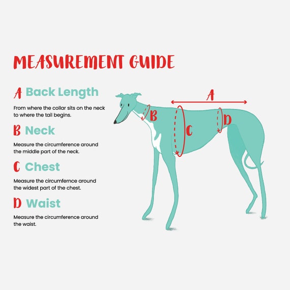 Greyhound harness size sales