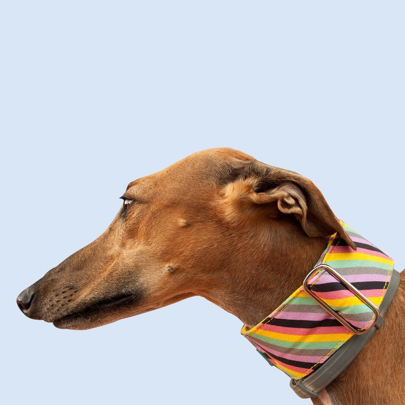 etsy whippet collar