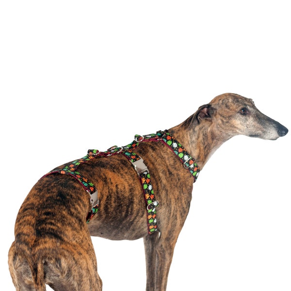 Dog harness Monsteras for Greyhound, Whippet, Piccolo, hound, all breeds! Antiescape system. This product is Tailormade especially for you.