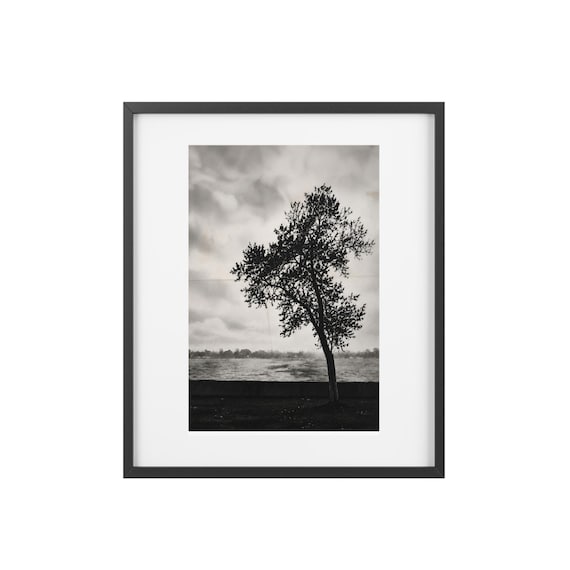 The Listening Tree  -  Framed Print