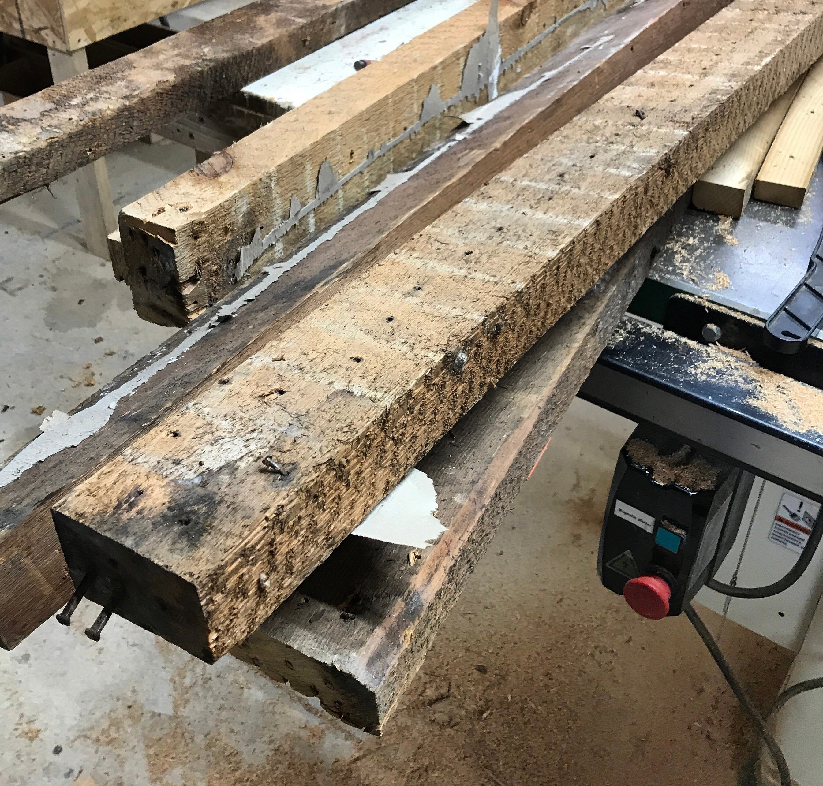 Ohio State Football Team 1890 First Team Photo Etsy