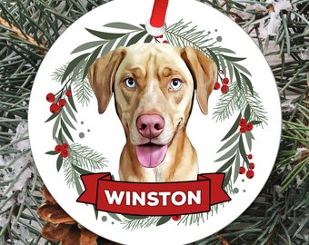 Custom Pet Ornament Dog Portrait Hand Drawn Ceramic Ornament Dog Personalized Pet Ornament With Name Dog Memorial Gift Cat Mom Gift