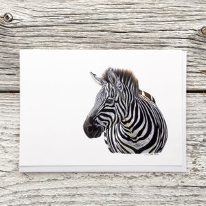 zebra greeting card