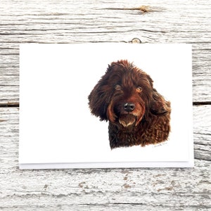 poodle doodle greeting card