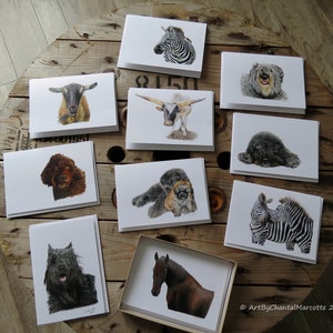 pack of 10 greeting cards from animals colored pencils drawings