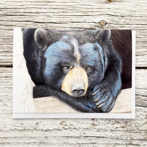 Black bear greeting card
