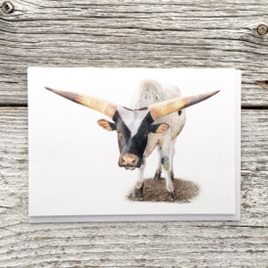 Watusi cow greeting card