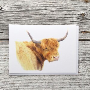 Highland cow greeting card