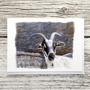 goat greeting card