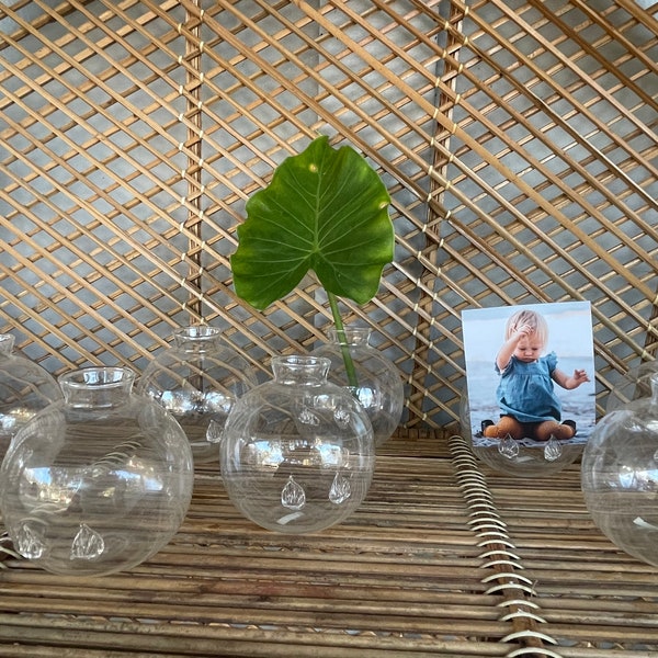 Business card holder, Picture holder, Glass globe, Hydroponic globe, Picture center piece, Plant center piece, Water plant, Sphere planter,