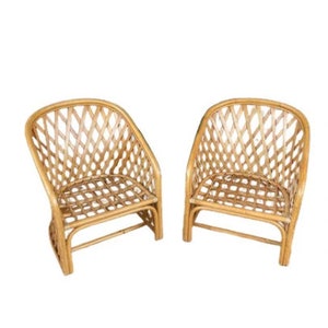 Rattan 2024 barrel chair