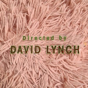 May include: A close-up of a textured, light pink surface with the words "Directed by DAVID LYNCH" in green and brown lettering. The background is a soft, fluffy material.