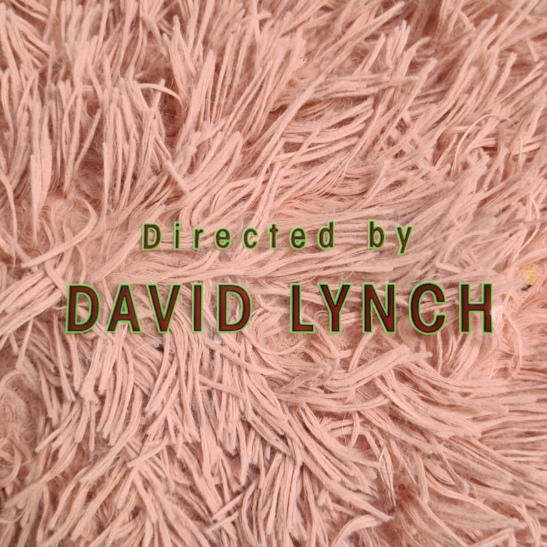 May include: A close-up of a textured, light pink surface with the words "Directed by DAVID LYNCH" in green and brown lettering. The background is a soft, fluffy material.