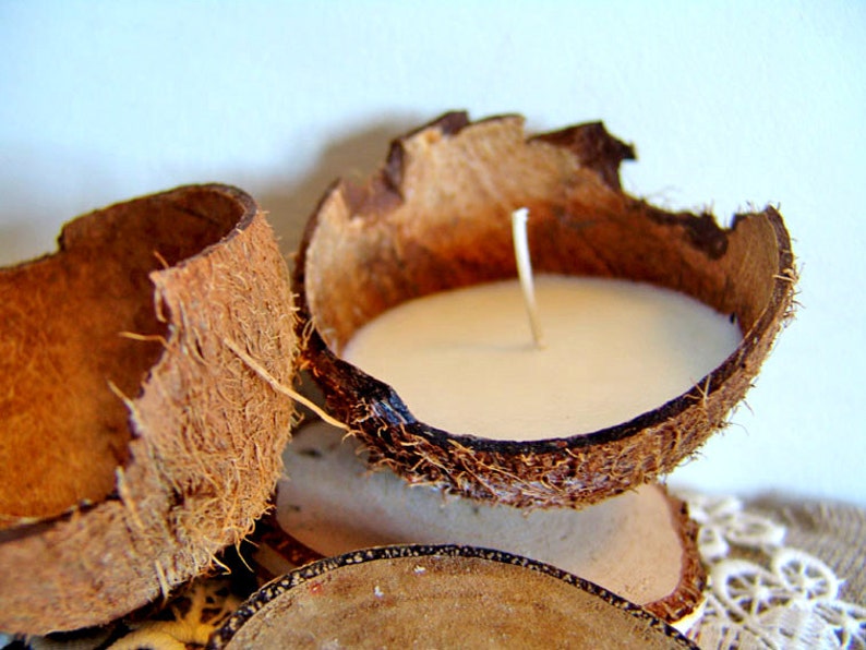 Coconut Candle. Palm Wax Candle. Tropical Candle. Container Etsy
