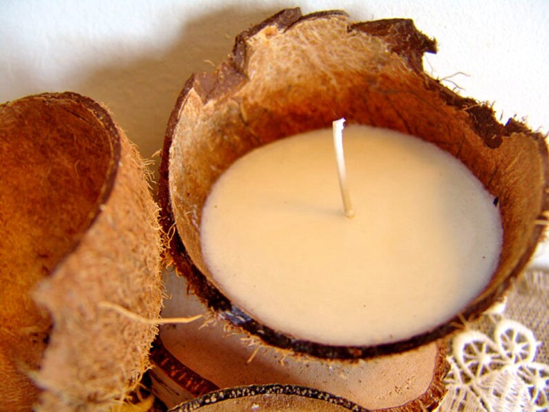Coconut Candle. Palm Wax Candle. Tropical Candle. Container Etsy