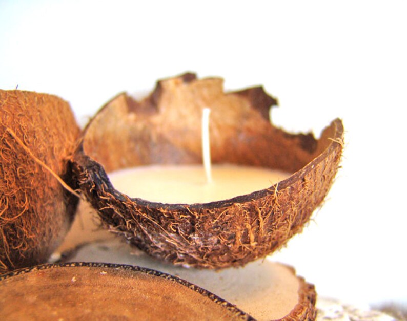Coconut Candle. Palm Wax Candle. Tropical Candle. Container Etsy