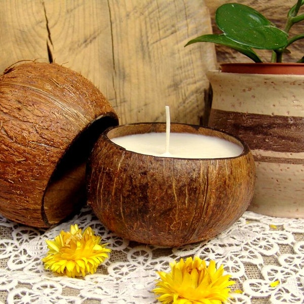 Big coconut shell candle. Soy wax candle. Tropical candle. Container candle. Handmade candle. Vegan candle. Organic candle. White candle.