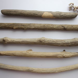 May include: Five pieces of driftwood of varying sizes and shapes, arranged horizontally on a white background.