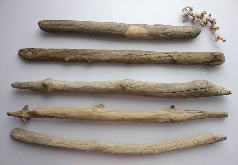 May include: Five pieces of driftwood of varying sizes and shapes, arranged horizontally on a white background.