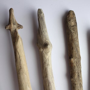 May include: Five pieces of driftwood of varying shapes and sizes. The driftwood is light brown in color and has a rough, weathered texture.