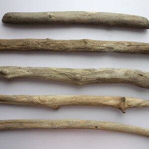 May include: Five pieces of driftwood of varying sizes and shapes, arranged in a row on a white background.
