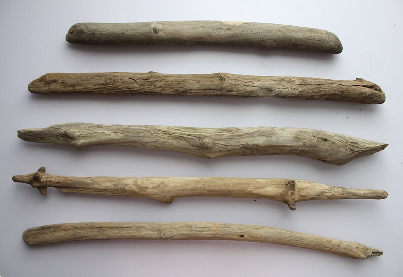 May include: Five pieces of driftwood of varying sizes and shapes, arranged in a row on a white background.