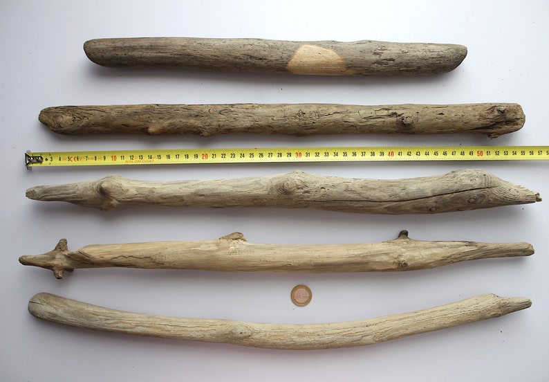 May include: Five pieces of driftwood of varying lengths and shapes, arranged horizontally on a white surface. A yellow measuring tape is visible at the top of the image, with the numbers 1 through 50 visible.