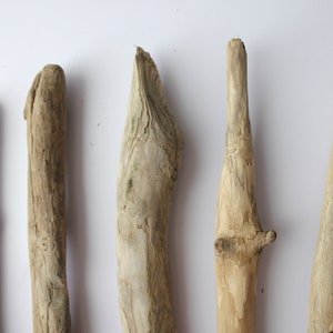 May include: Five pieces of driftwood of varying sizes and shapes, all with a natural, weathered look. The driftwood is light brown in color and has a rough, textured surface.