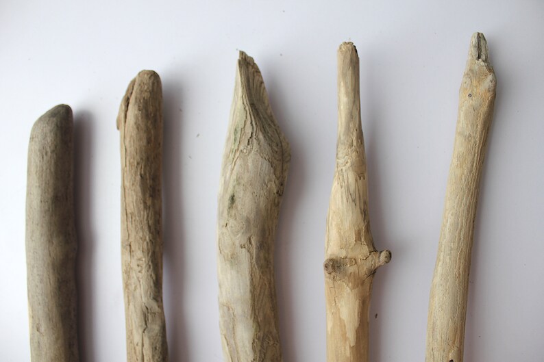 May include: Five pieces of driftwood of varying sizes and shapes, all with a natural, weathered look. The driftwood is light brown in color and has a rough, textured surface.