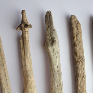May include: Five pieces of driftwood of varying sizes and shapes, all with a natural, weathered brown color.