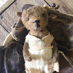 Può includere: Un orsacchiotto di peluche marrone che indossa un vestito bianco con un bottone decorativo. L'orso è seduto in una ciotola con vecchie borse di pelle.