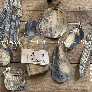 Fall Favorites - INSTANT DOWNLOAD - Printables