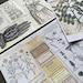 Herb &amp; Garden Printable Set - Etsy