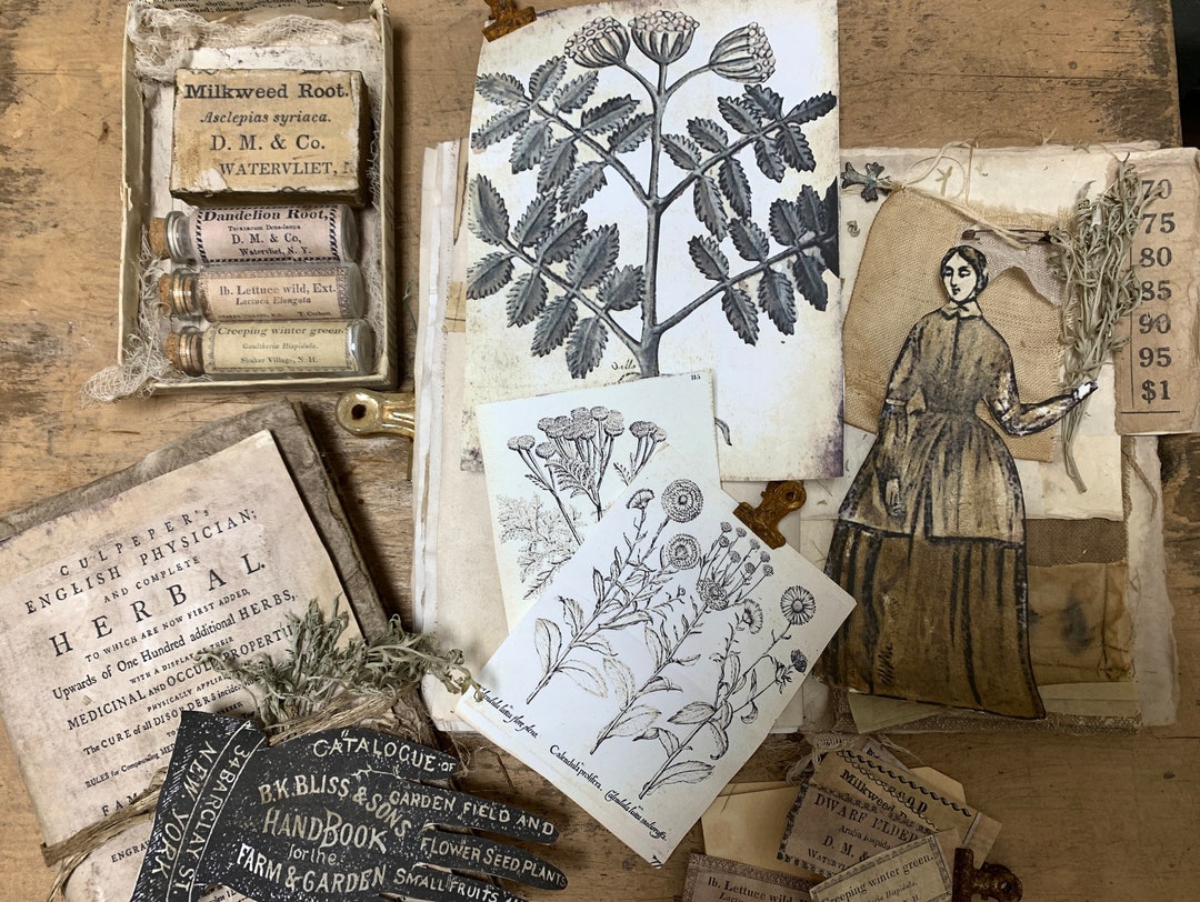 Herb &amp; Garden Printable Set - Etsy