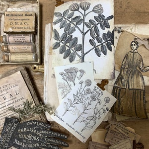 Herb & Garden Printable Set