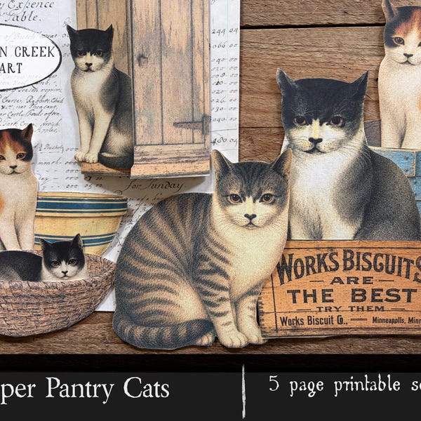 Pantry Cats Printable Set - Instant Download
