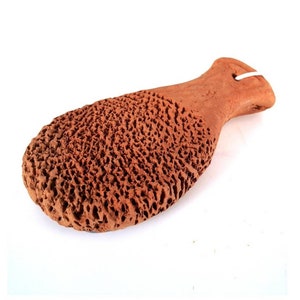 Puede incluir: Un exfoliante para pies de color terracota con forma de pez. El exfoliante tiene una superficie rugosa y texturizada y un mango liso.