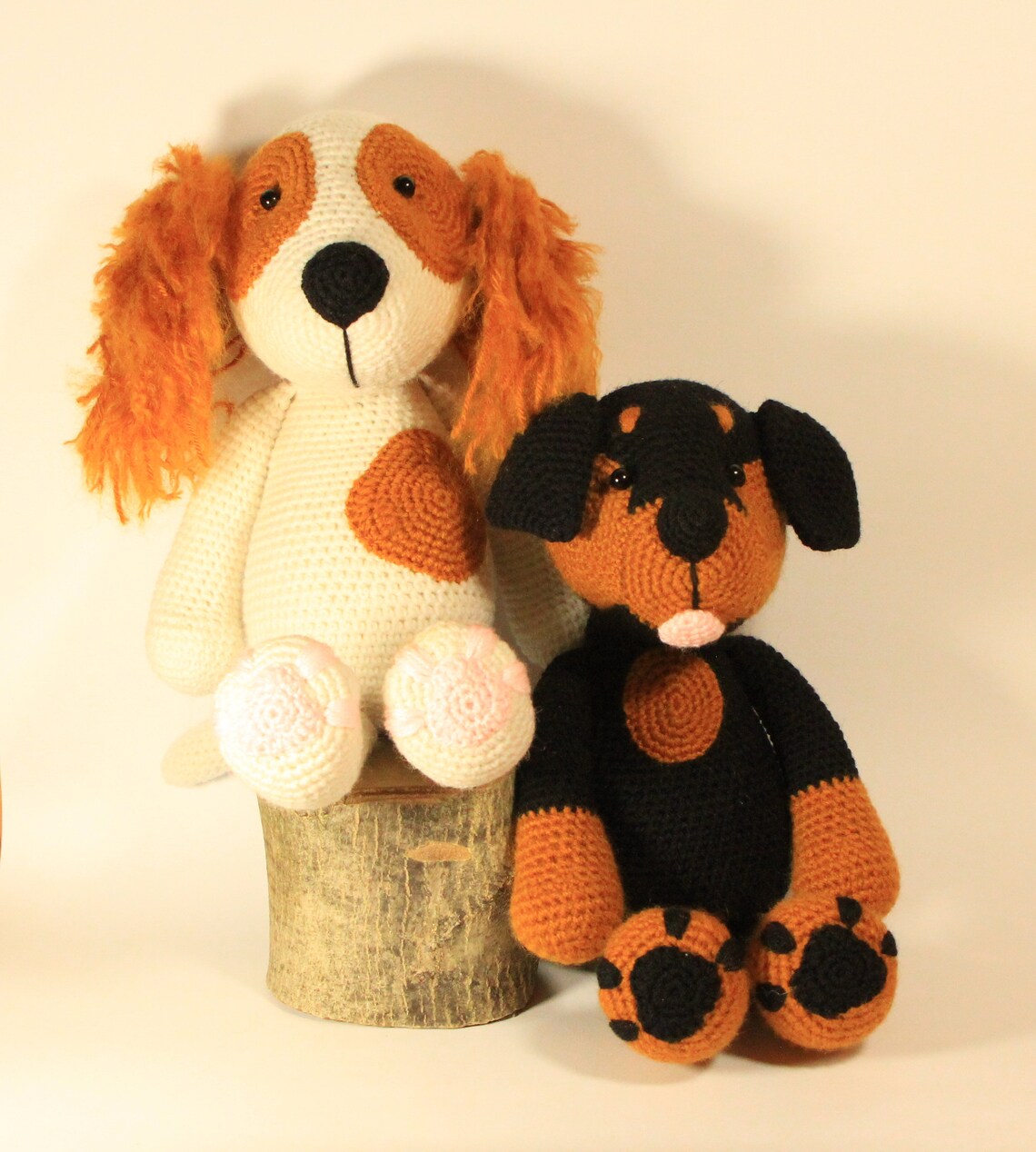 Quabbin Cavaliers - Cavalier King Charles Spaniel Puppies For Sale In