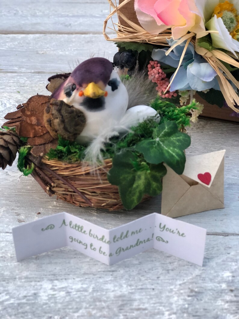 Bird's Nest Pregnancy Announcement/ Grandparents Pregnancy Etsy Hong Kong