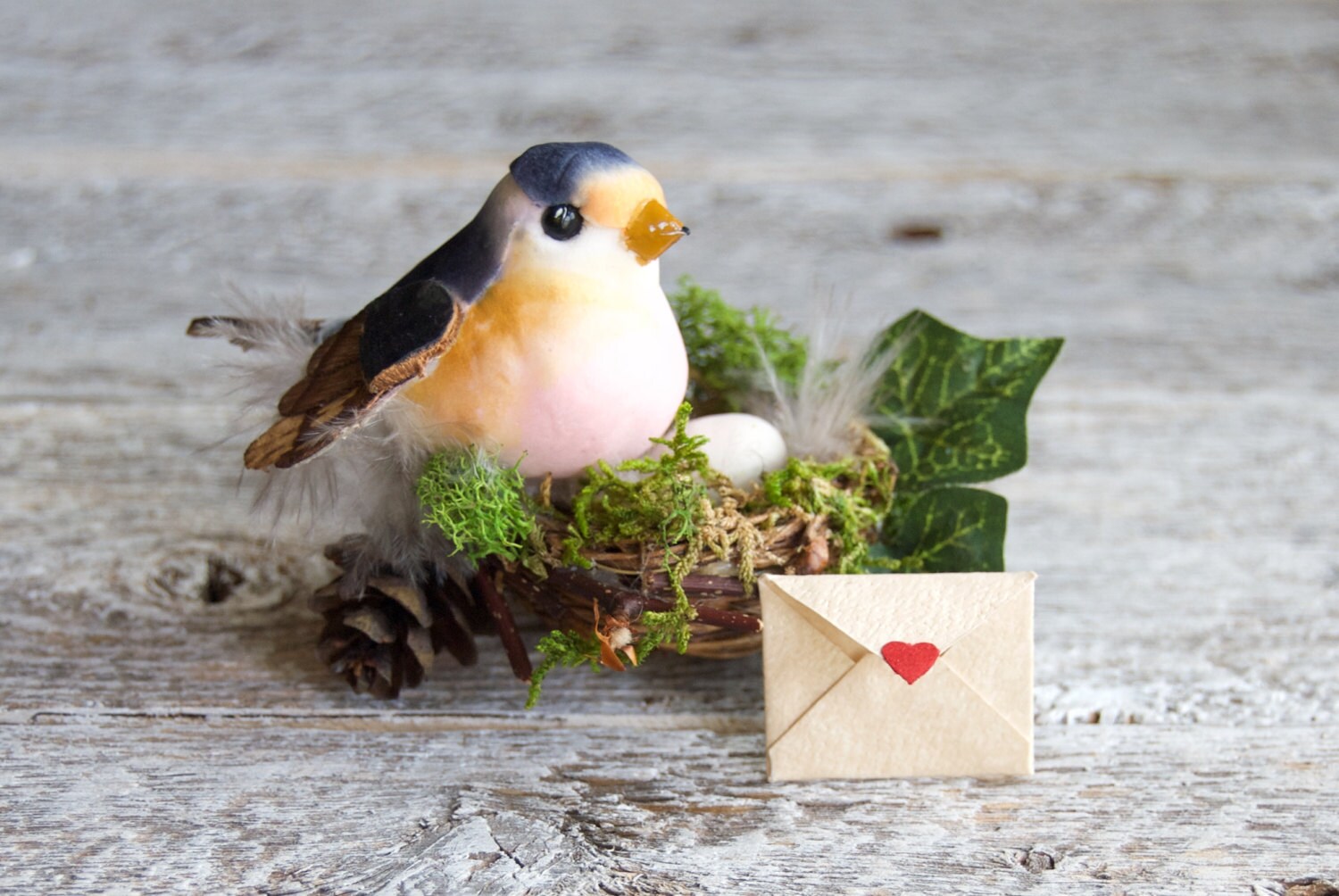 Bird's Nest Pregnancy Announcement/ Grandparents Pregnancy Etsy
