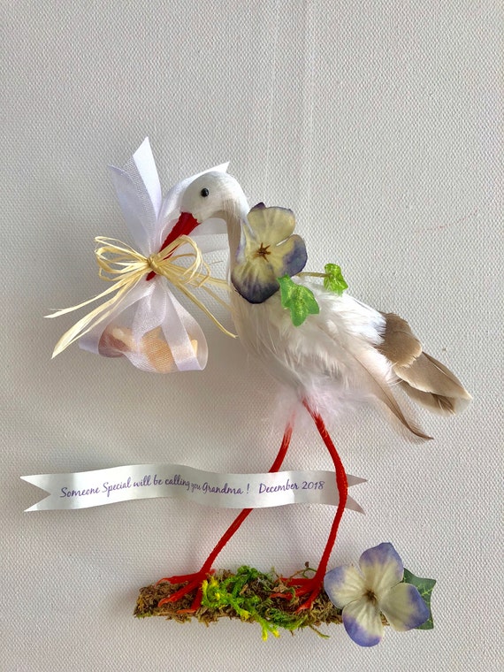 stork delivery pregnancy announcement