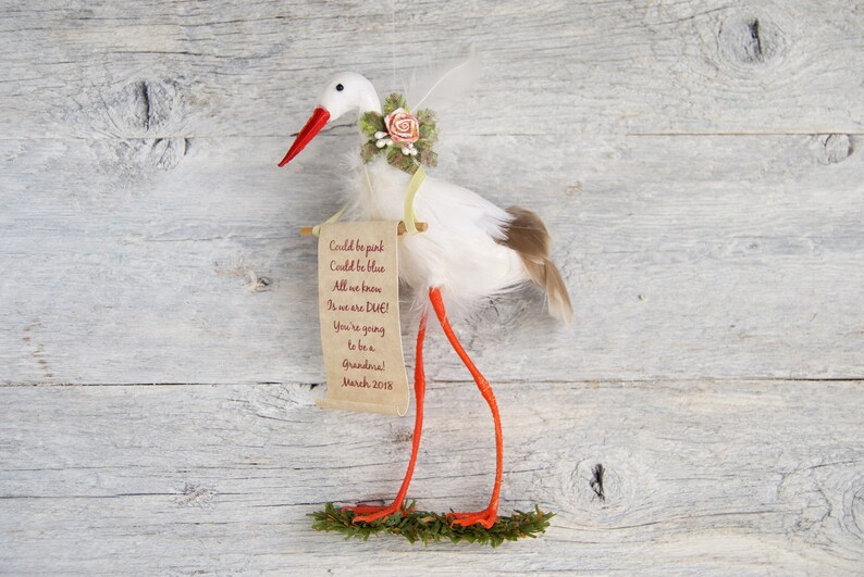 stork delivery pregnancy announcement