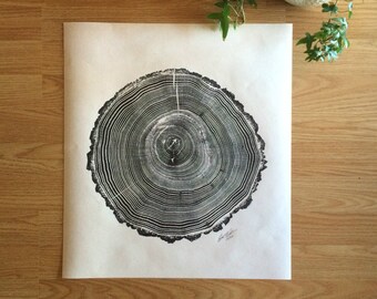 Square Oak Tree Ring Print