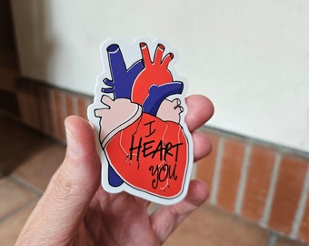Anatomical Heart Vinyl Sticker: Funny Encouragement Medical Laptop Decal