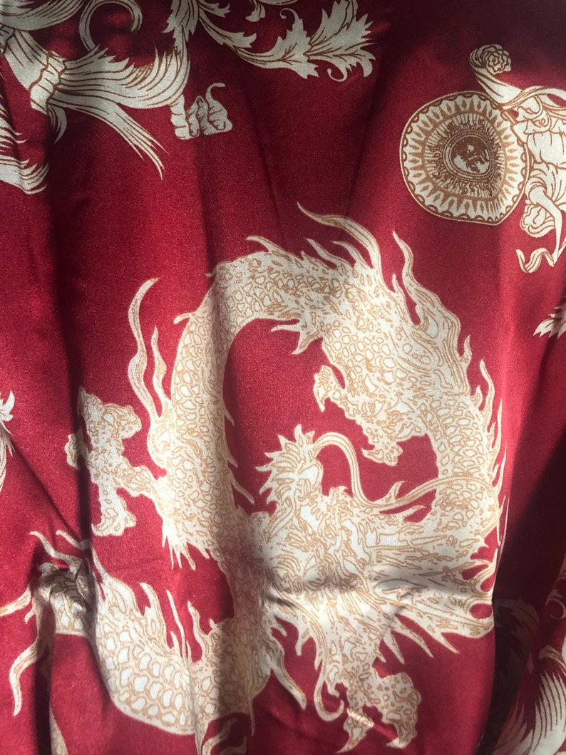 men's dragon robe