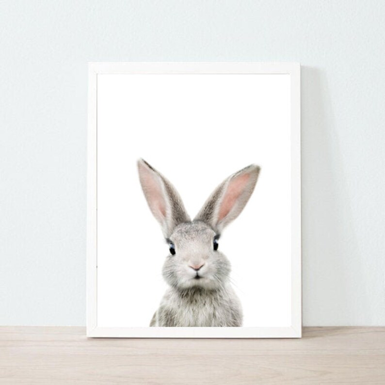 Nursery Bunny Print, Nursery Animal Printable, Bunny Picture for Nursery, Bunny Printable Wall