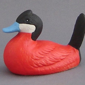 Wade Ruddy Duck